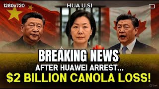 Canadas Arrest Of Huawei Cfo Backfires As China Blocks 2 Billion Canola Exports Farms In Crisis