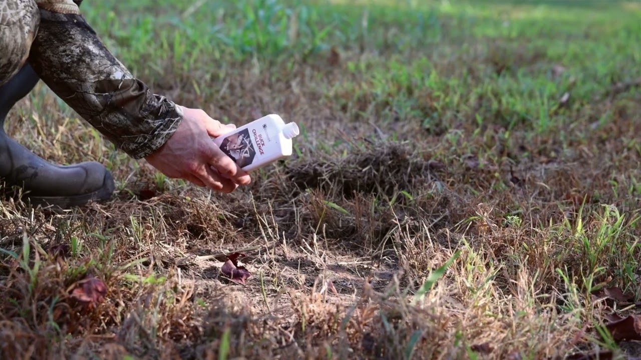 Outdoor Hunting Lab | Buck Challenge 2024