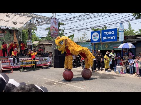 獅子の玉乗り！インドネシア・スラバヤ 中国系獅子舞 - YouTube