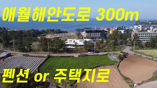 애월해안도로인근 4채이상지을수 있는 전원주택지매매
