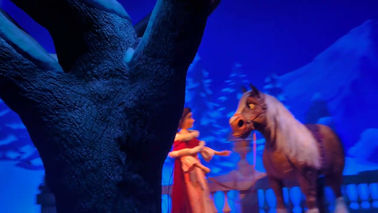 美女と野獣　魔法の物語　自宅身内用