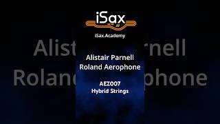 Roland Aerophone AEZ007 Hybrid Strings #aerophone #isax #roland #synth