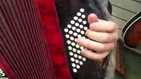 The Piano Accordion Standard 48 Bass Layout Explained @ Hobgoblin Music Birmingham