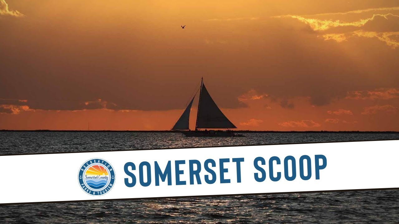 Somerset Scoop 1 7 26