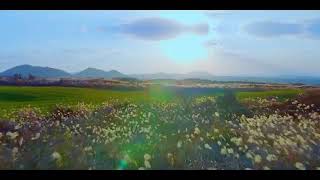 Download Lagu IU FEAT SUGA OF BTS  \ MP3