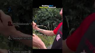 Ranking Best Wasp Nest Removals