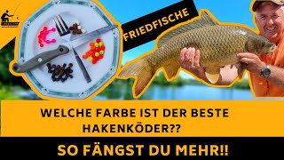 Tipps - FARBWAHL von HAKENKÖDERN bei Friedfische