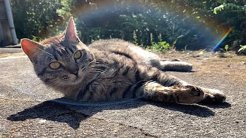 Momo Ten Kuuももと天空 Youtube