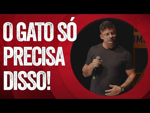 COMO OS GATOS E OS CACHORROS VEEM AS PESSOAS - MARCIO DONATO