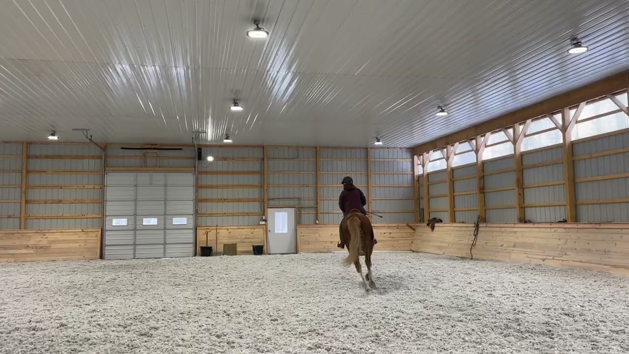Beau jumping 2/23/26