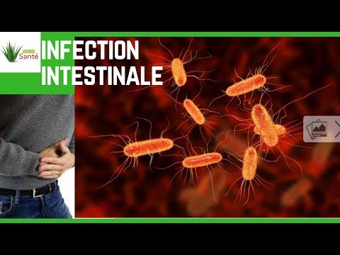 Vidéo: Traitement De L'infection Intestinale Avec Des Remèdes Populaires