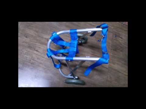 Como fazer cadeira de rodas para gato Clearance