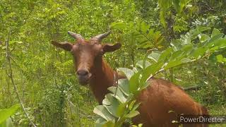 Celebrity BIODIVERSITY VLOG Wealth