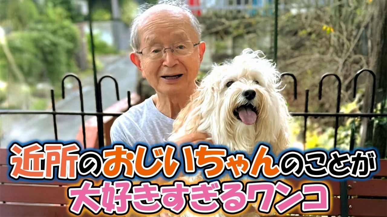 ワンコのおかげでご近所さんと仲良しに