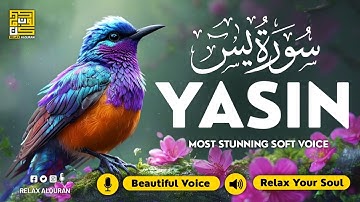 Surah Yasin (Yaseen) سورة يس ✦ Beautiful voice heart touching ✦ Majestic Quran For Sleep ✦ Alaa Aqel