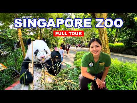 🐼 Singapore Zoo Full Tour | Amazing Rainforest Wonderland | A paradise for Wildlife Lovers🇸🇬🦁🦧