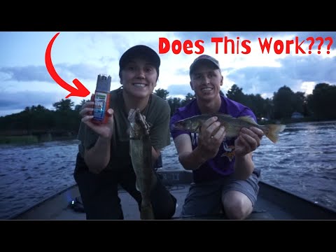 Walleye Fishing Challenge: BAITMATE Live Scent vs NO Scent 