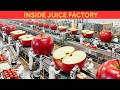 Inside the Apple Juice Factory – From Fresh Apples to Bottles! 🍎🥤