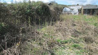 Allotment Clear Up  Removing weeds and brambles  Part one of many