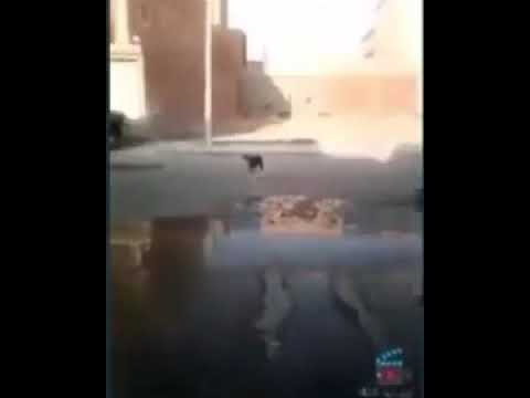 محمد محمد محمد قم قم قم