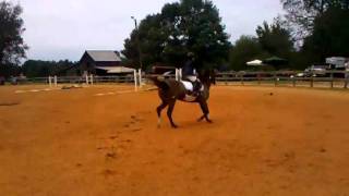 Cocos first class in first show