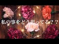【恋愛】あの人のお気持ちとこの恋愛におけるメッセージ🌳✨【タロット占い】