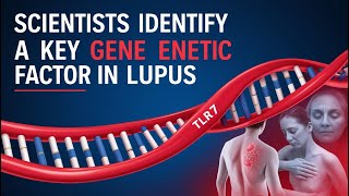 Breakthrough Discovery: Scientists Find the Cause of Lupus – Could This Lead to a Cure?