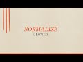 Mother Mother - Normalize (Slowed Down)(Official Visualizer)