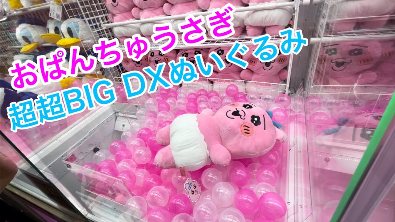 クレーンゲーム】おぱんちゅうさぎ 超超BIG DXぬいぐるみにチャレンジ