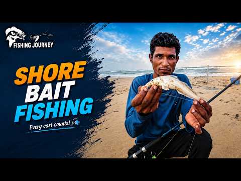 Simple Bait, Amazing Catch! | Shore Fishing🎣 #fishing #fishingvideo #camping #fish #ocean #beach