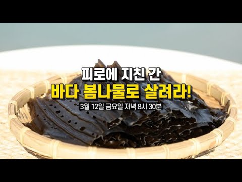 피로에 지친 간, 바다 봄나물로 살려라! MBN 210312 방송
