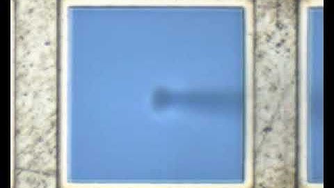 TEM lamella rotation for lift-out using the Micro Support Axis Pro micromanipulator.