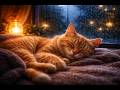 Soothing Cat Sleep Sounds | Rain on Window + Purring for Stress &amp; Anxiety (Black Screen, No Ads)