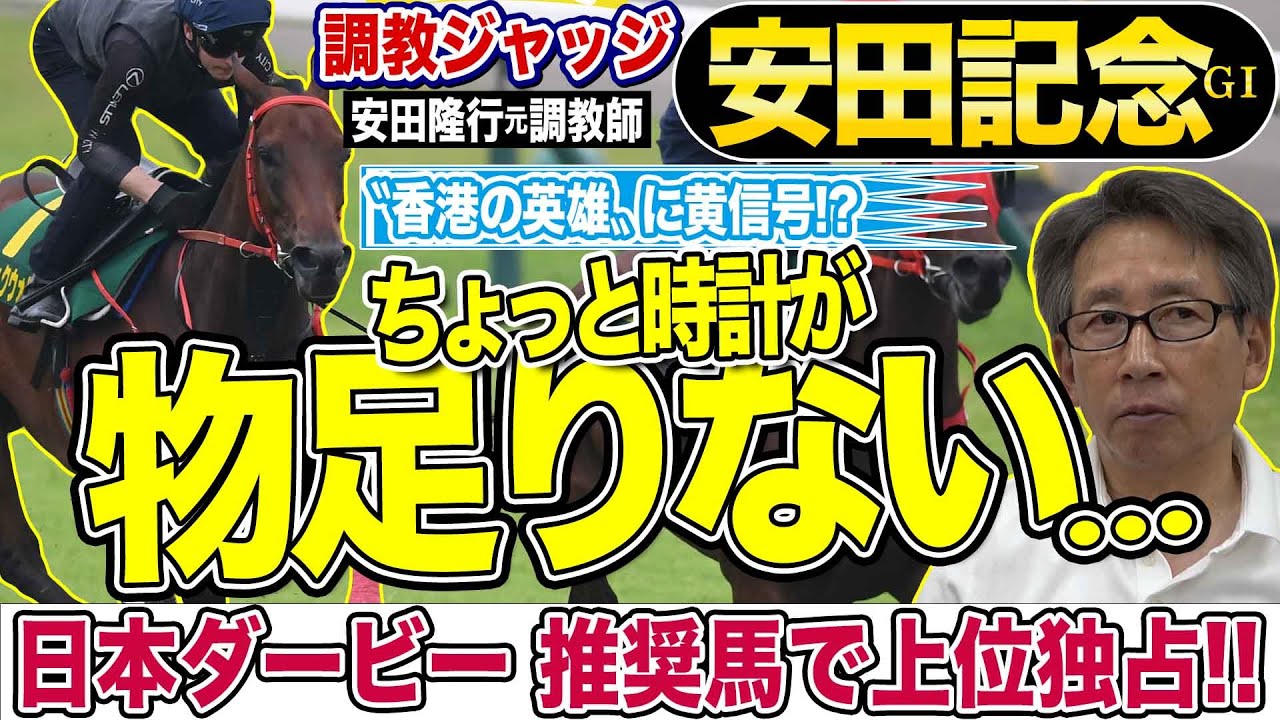 【非売品】 競馬JRA 安田隆行元調教師 700勝達成記念 フード付き半袖ベスト 安田記念2024】安田隆行元調教師が調教ジャッジ！ 「動き」「時計