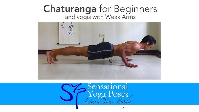 Chaturanga Dandasana - Yog Niketan Dham