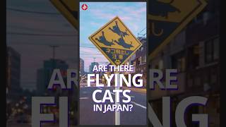 Japan has street signs for flying cats?!? #japan2026 #japantravel #discoverjapan