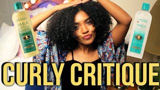 CURLY CRITIQUE | SoftSheen Carson Amla Legend