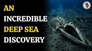The World's Largest Whale Graveyard 7 Kilometres Beneath The Indian Ocean | WION Podcast