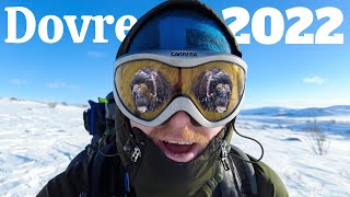 Dovre 2022 Muskox Photography | Behind the Scenes with Trond Westby & Oddbjørn Austevik