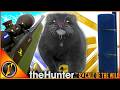 I Set Up a FEEDER GRIND for a Diamond Mink... | theHunter Call of the Wild