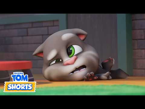 Premiers secours d'urgence | Talking Tom & Friends France | Dessin animé