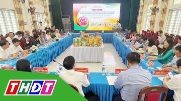 Hải Dương xúc tiến tiêu thụ vải thiều và nông sản | THDT