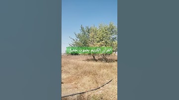 القرآن الكريم بصوت جميل #قرآن #اكسبلور #تيك_توك #اكسبلورر #اكسبلورفولو #ترند
