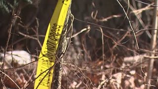 Authorities Working To Identify Burned Human Remains Found Near Kelly Drive