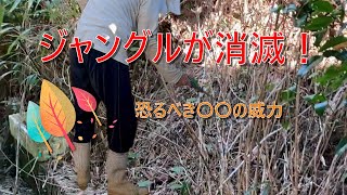 除草剤サンフーロンで雑草の根まで枯らす簡単除草作業