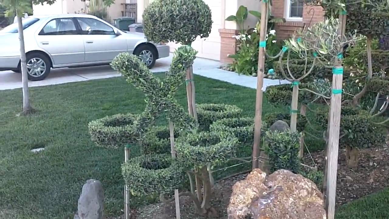 Topiary Garden