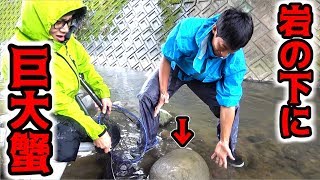 ついに山太郎捕獲？巨大な蟹を発見！