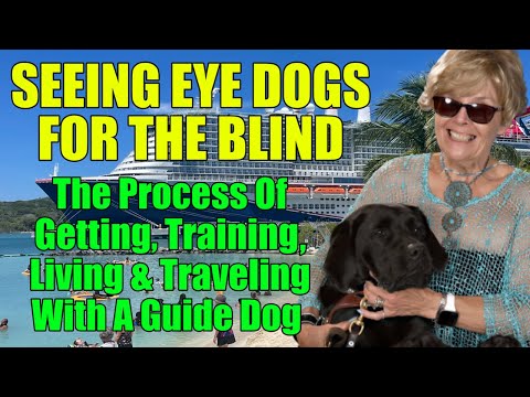 Guide Dogs for the Blind - How To Get, Train and Travel with a Seeing Eye Dog
