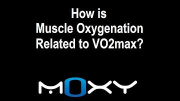 SmO2 and VO2max