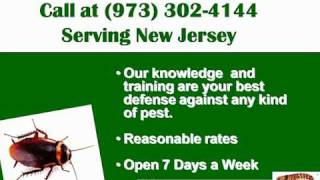 New Jersey Rodent Extermination Service (Mice Rat) Open Everyday